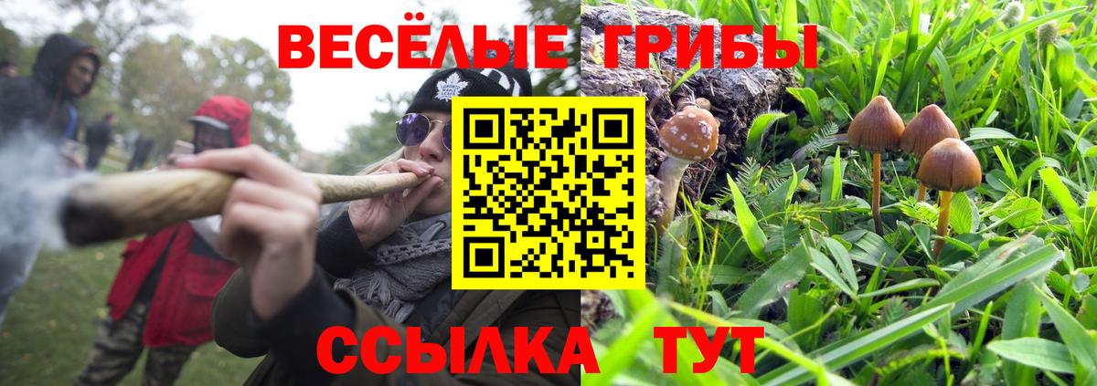 Тобольск  Галлюциногенные грибы мухоморы  наркошоп  Псилоцибиновые грибы Psilocybe  Вход с VPN 